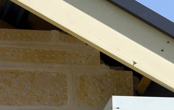 soffit repair Cartland