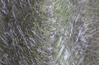 Cartland fibreglass roof work